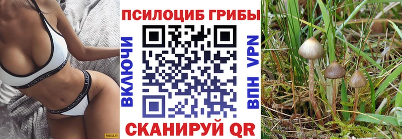 Псилоцибиновые грибы MAGIC MUSHROOMS  Купить закладки  Ахтубинск 