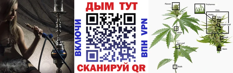 Купить где  Ахтубинск  Бошки марихуана семена 